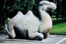 Stone Camel, Sacred Way, Ming Tombs, Beijing